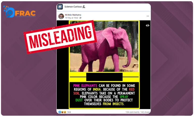 Pink Elephant on social media