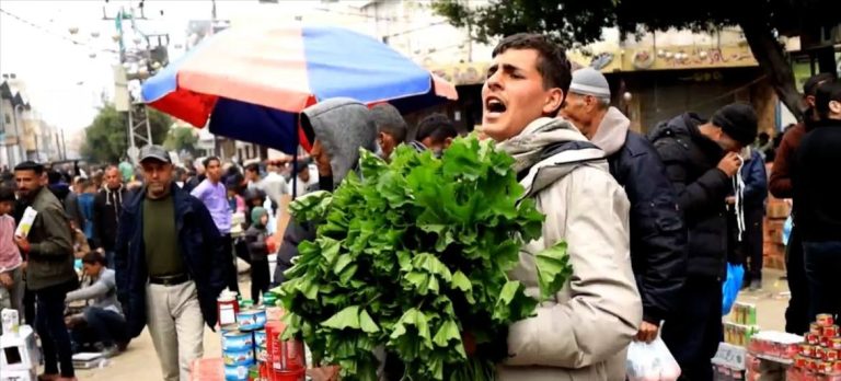 UN News / Ziad Taleb Ahmed Fayyad was a pharmacy student and is now selling cheeseweed in Deir Al-Balah after being displaced from Khan Younis in southern Gaza.