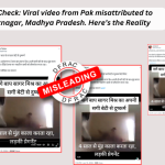 पाकिस्तान में एक लड़की के साथ हुए रेप का वीडियो मध्य प्रदेश के अशोकनगर का बताकर शेयर किया गया है