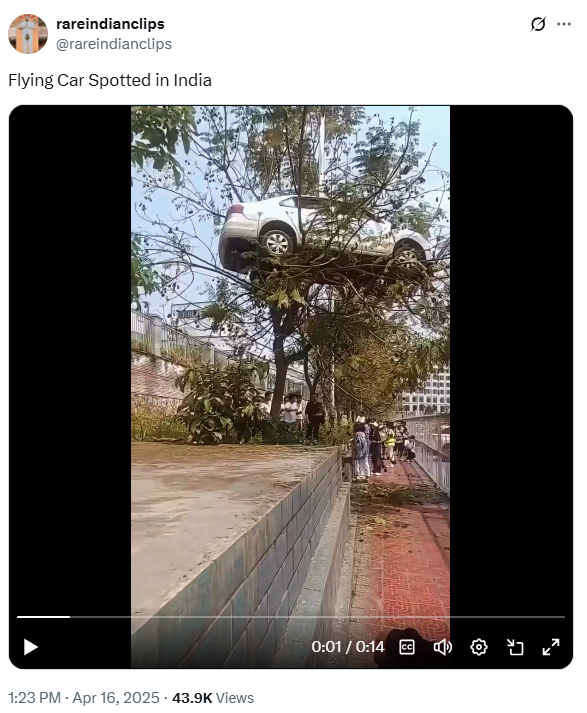 A user on X has posted a video that shows a car on top of a tree. The user has claimed the video to be from India.