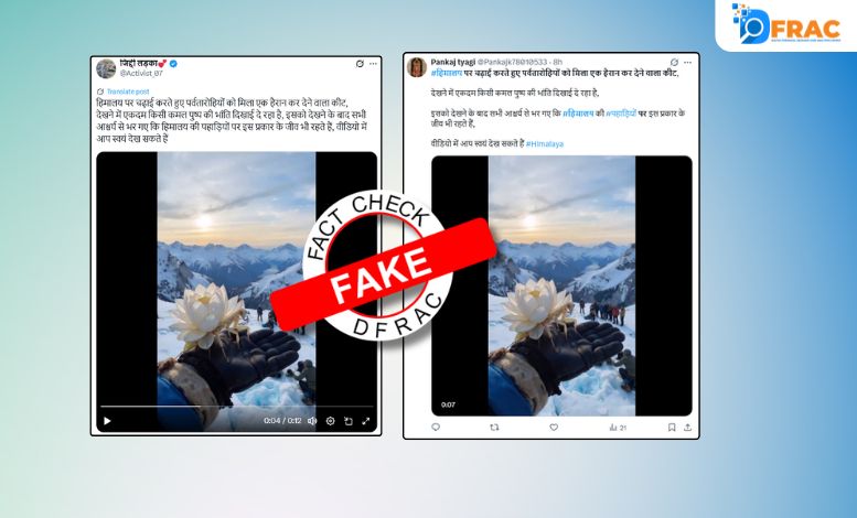 फैक्ट चेक: कमल पुष्प की भांति दिख रहे कीट की वीडियो AI जनरेटेड है।