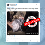 Pro Palestine protest in Australia