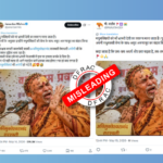 bee attack on Shankaracharya