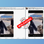 Pig Attack on Muslim
